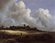 Jacob van Ruisdael View of Grainfields with a Distant town oil